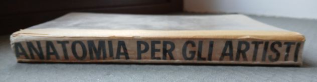 ANATOMIA PER GLI ARTISTI, Ed. F.lli Lega 1968. - Foto 2