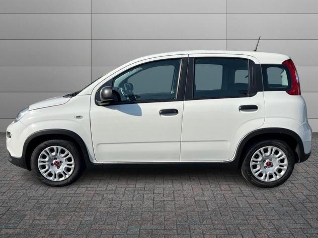 FIAT Panda 1.0 FireFly 70cv S&S Hybrid - Foto 2