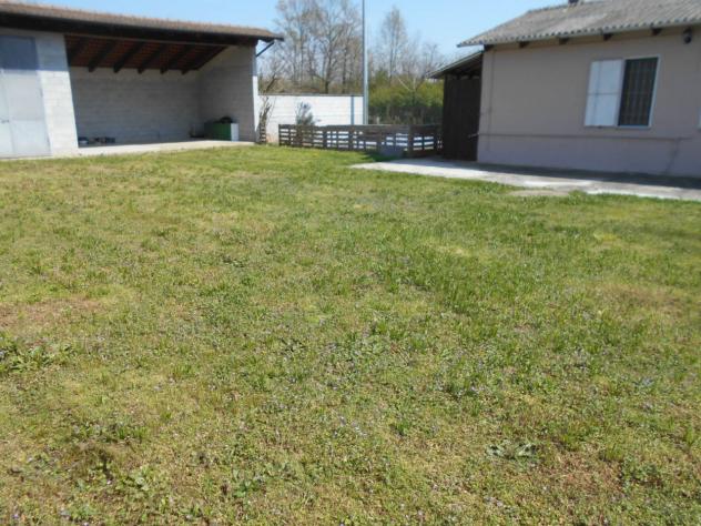 angolo verde
In mezzo al verde, magazzino realizzato con ingresso, zona cucina e camera e bagno (Non è censito come abitazione e non è possibili farlo - Foto 3