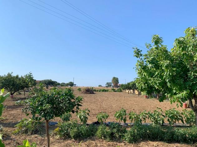 Terreno edificabile in vendita a Paceco - Foto 3