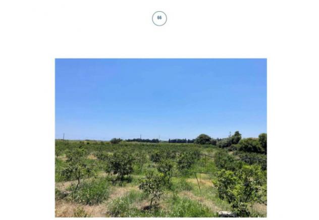 Immobile in asta di 20722 m² in vendita a Siracusa - Foto 2
