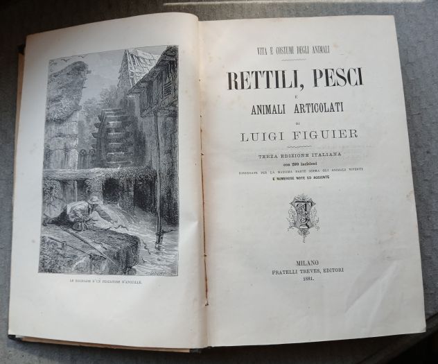 RETTILI, PESCI E ANIMALI ARTICOLATI, Ed. F.lli Treves 1891. - Foto 3