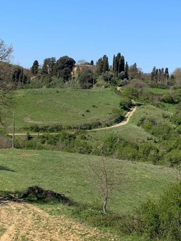Rustico in vendita a Asciano 9500 mq Rif: 1340021 - Foto 9