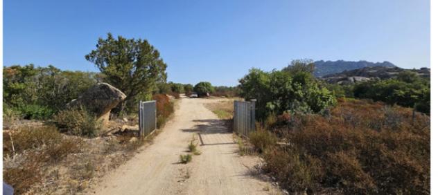 Immobile in asta di 102 m² in vendita a Olbia - Foto 3