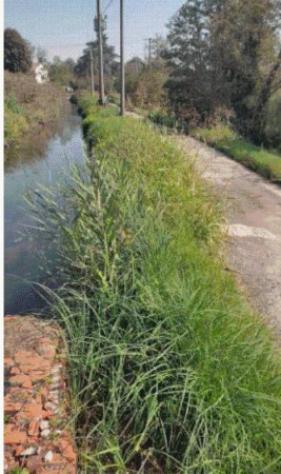 Immobile in asta di 54 m² in vendita a Ozzero - Foto 11