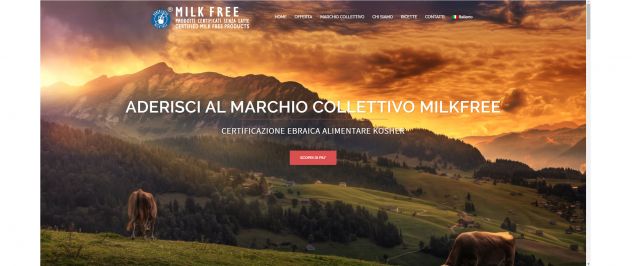 Web Designer - Siti web + SEO - Foto 5