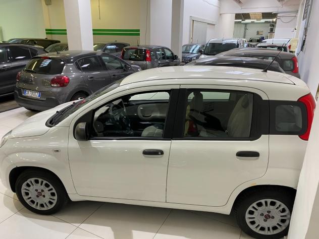 Fiat Panda 1.2 69Cv Easy - Foto 3