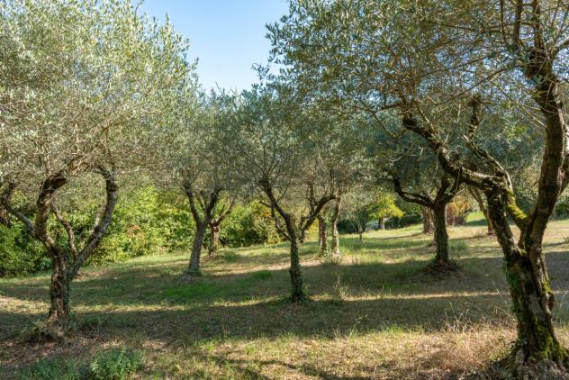 Villa in vendita a Arcugnano - Foto 20