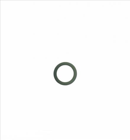 ANELLO O-RING INIETTORE LDW502