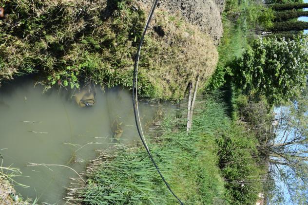 TERRENO AGRICOLO di 1 vani e di 23490 mq (CASTELFIORENTINO) rif. C 225 - Foto 3