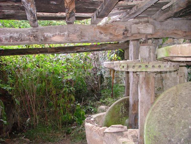 Rustico di frantoio ad acqua con giardino. - Foto 5