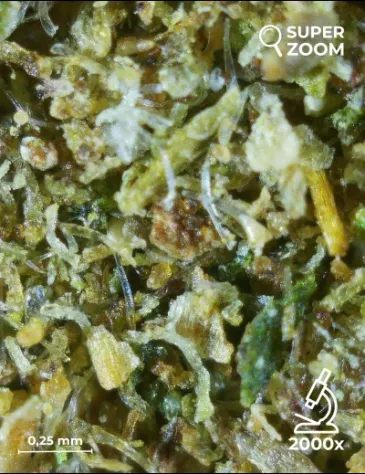 Kief CBG - Foto 3