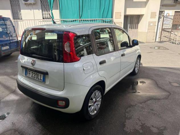 FIAT Panda 1.2 EasyPower Easy rif. 24157232 - Foto 4