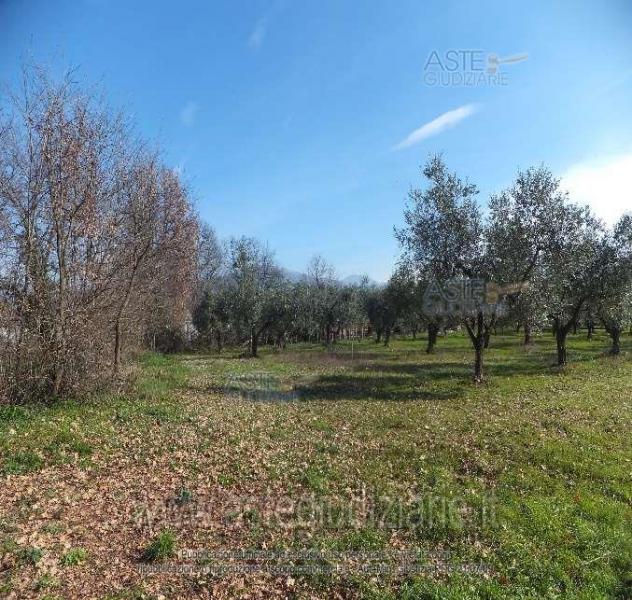 IMMOBILI-ALTRA CATEGORIA-Via Jugoslavia, 03011 Alatri FR, Italia, - Foto 5