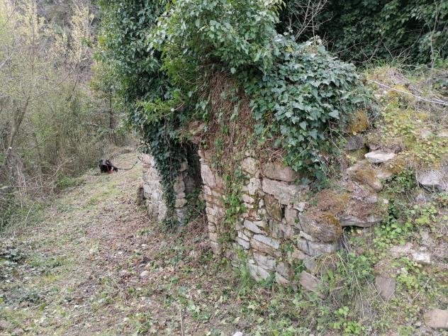 Agricolo in Contrada Puglisi - Foto 3