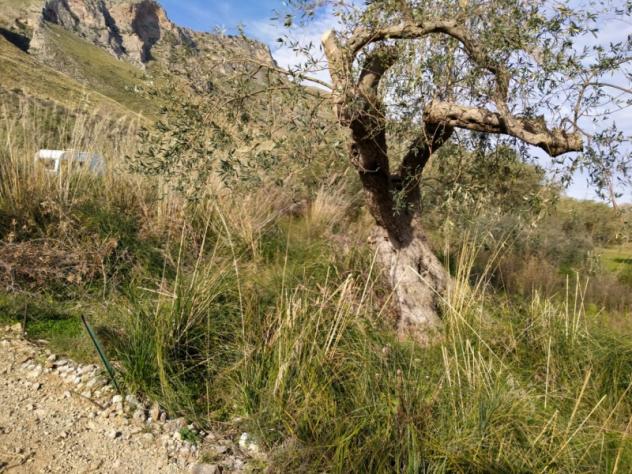 Agricolo in Contrada Rovetto - Foto 7