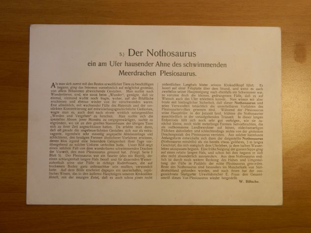 Serie di 8 litografie Harder-Bölsche: Tiere der Urwelt - Foto 3