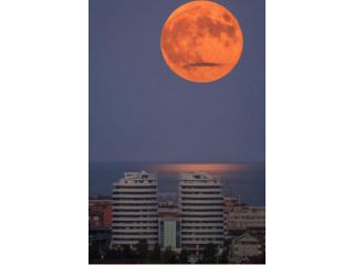 Massaggi - benessere Pescara - Massaggi Tel:3516078448