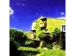 Podere Patrignone
