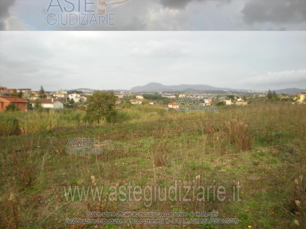 IMMOBILI-ALTRA CATEGORIA-Via Vigne Nuove a confine con S.P. di Ardea , Strada Vecchia di Nettuno - Foto 6