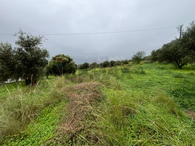 Terreno in vendita a Carlentini - Foto 7