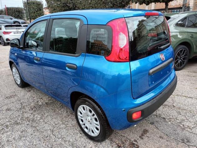 FIAT Panda 1000 HYBRID PANDINA POP 70CV ITALIA rif. 23999452 - Foto 3