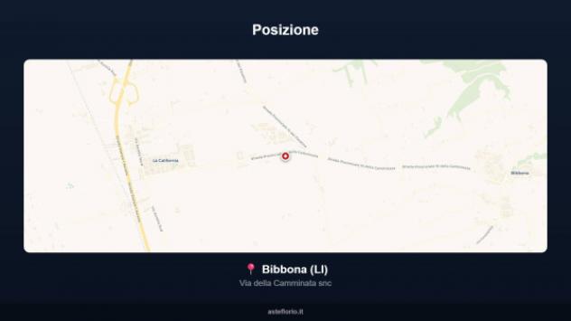Immobile in asta di 20 m² in vendita a Bibbona - Foto 6