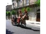 Cannata Maria Luisa