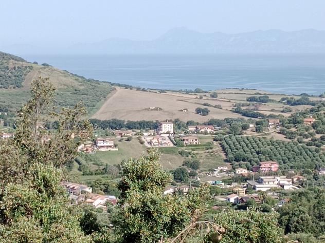 Agricolo in Via Sorrento - Foto 2
