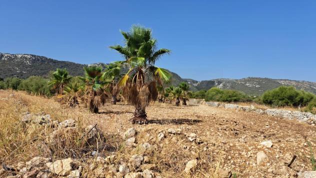 Terreno in vendita a Priolo Gargallo - Foto 11