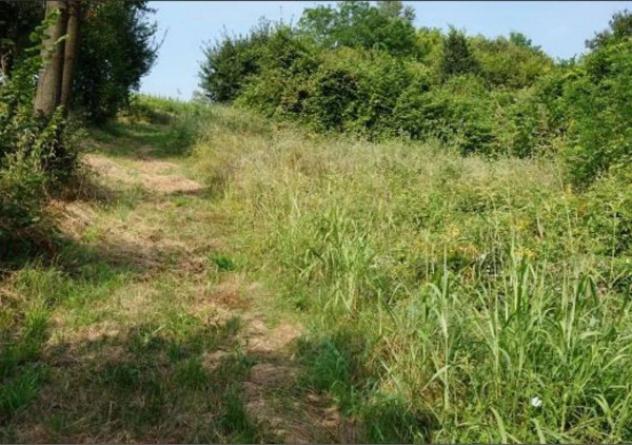 Immobile in asta di 40247 m² in vendita a Sovizzo - Foto 9