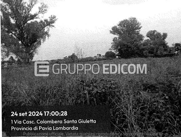 Terreno in vendita a Travacò Siccomario - Rif. 4551045