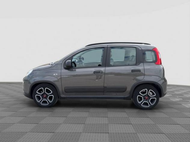FIAT Panda Panda 1.0 FireFly Hybrid City Life rif. 23635751 - Foto 2
