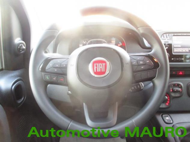 FIAT Pandina 1.0 FireFly 65 CV Hybrid Icon- NEOPATENTATI rif. 23918285 - Foto 10