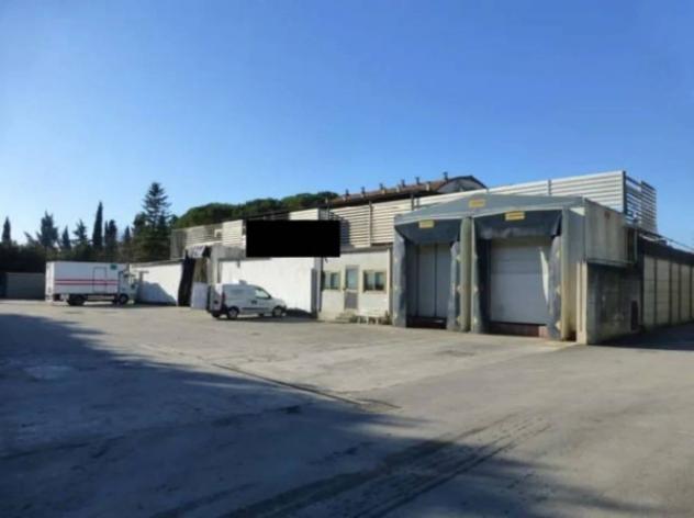 Immobile in asta di 1780 m² in vendita a Gambassi Terme - Foto 14