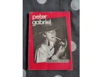 Peter Gabriel, Sconcerto