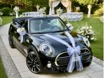 Mini cooper S cabrio, auto per matrimoni, compleanni, celebrazioni