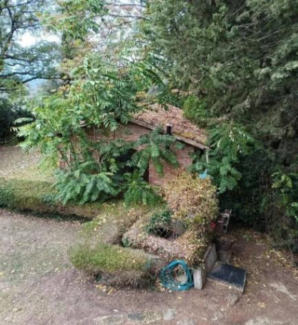 Immobile in asta di 406 m² con più di 5 locali in vendita a Chiusi - Foto 6