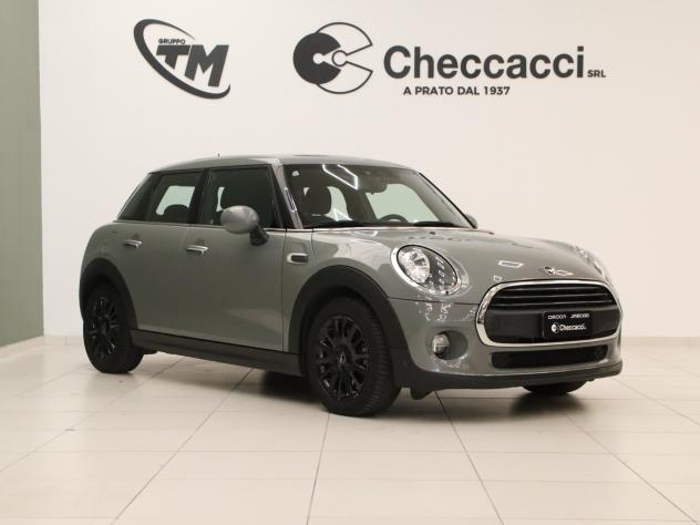 Mini 1.5 One D Hype