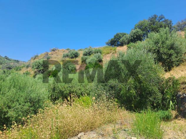 Terreno in vendita a Calatabiano, Ponte Borea - Foto 11
