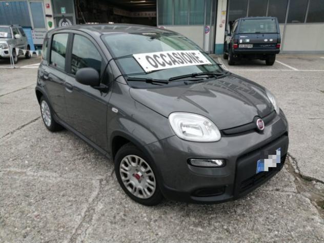 FIAT Panda 1.0 FireFly S&S Hybrid rif. 23900748 - Foto 3