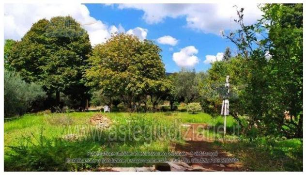 IMMOBILI-IMMOBILE RESIDENZIALE-Via della Pallade, 6, 00049 Velletri RM, Italia - Foto 7