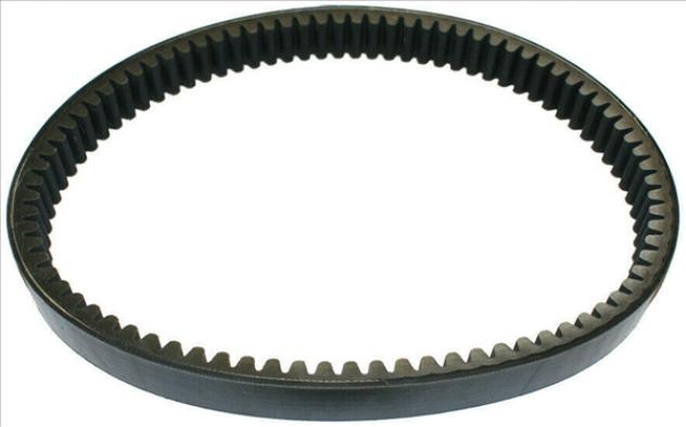 F0191000734 CINGHIA VARIATORE CASALINI M10 M110 M12 M14