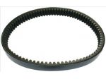 F0191000734 CINGHIA VARIATORE CASALINI M10 M110 M12 M14