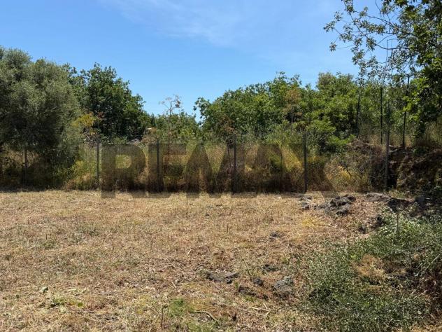Terreno in affitto a San Giovanni la Punta - Foto 4