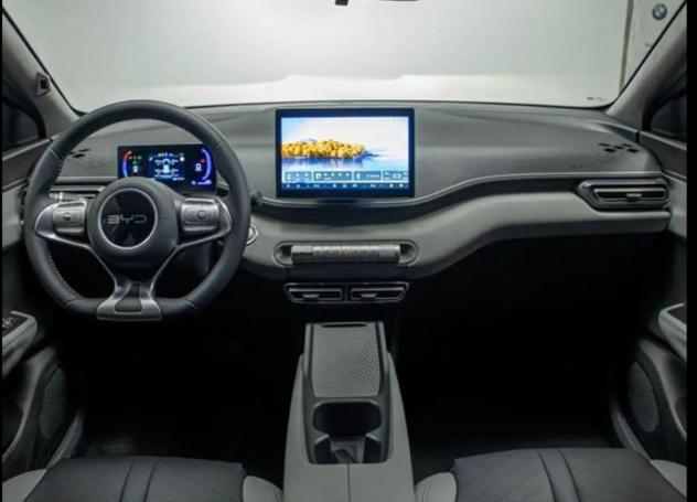 BYD DOLPHIN SURF BOOST 88cv Batteria 43.2kwh - Foto 8