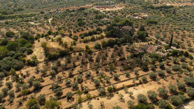 Casa Indipendente in vendita a Chiaramonte Gulfi - Foto 3