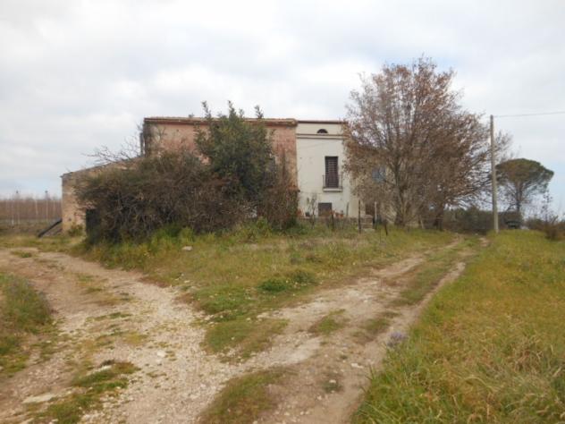 Casa indipendente affiancata per un lato su due livelli per un totale di mq 80 con terreno circostante di mq 3.000 - Foto 6