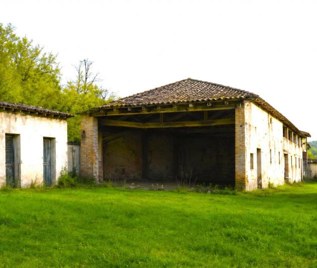Azienda agricola in vendita a Montopoli in Val d'Arno 2000 mq Rif: 1449630 - Foto 4