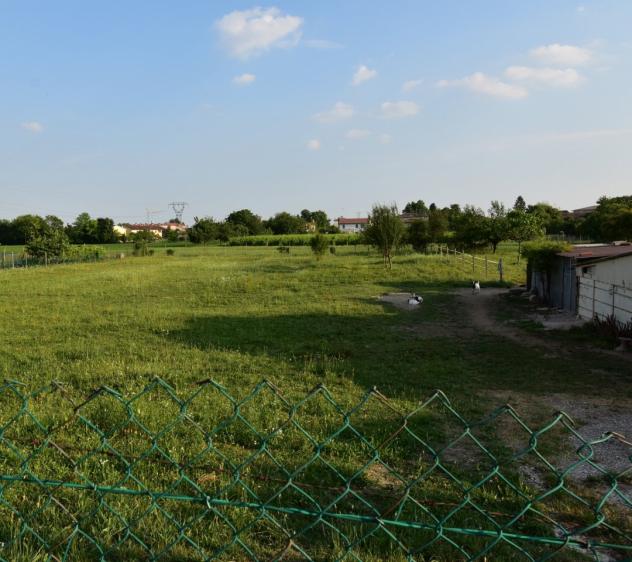 AREA EDIFICABILE di 1500 mq (SUSEGANA) rif. RG8A_7 - Foto 2